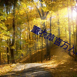 薰衣草官方入口3秒