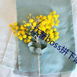 扛(káng)着boss拼下限(xiàn)