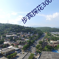 步宾探花3000元