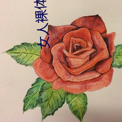 女人裸体按摩性www