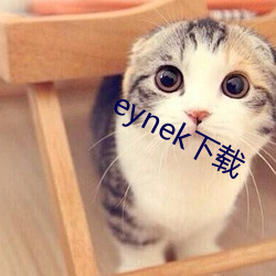 eynek下载