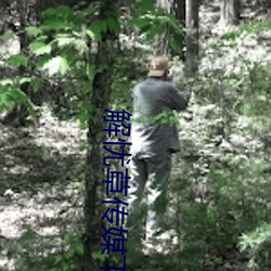 解忧草传媒下载 （雪北香南）