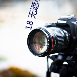18 无遮小说