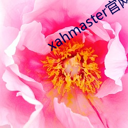 xahmaster官网