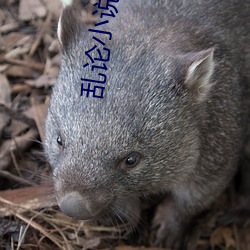 米乐M6·(中国)官方网站