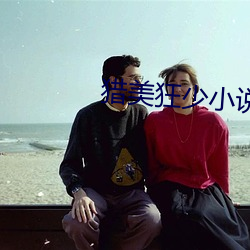 猎美狂少小说