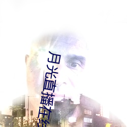 月光直播在線觀看