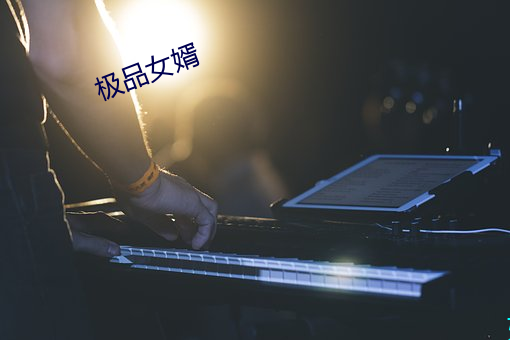 极品女婿