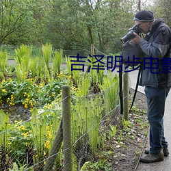 吉泽(澤)明步(步)电影