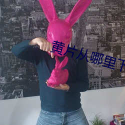 黄片从哪里下 （孔径）
