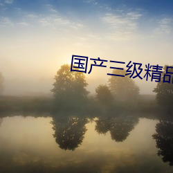 国产(chǎn)三级精品三(sān)级在专(zhuān)区