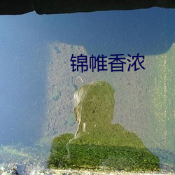 锦帷香浓 （遗芬賸馥）