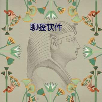 聊骚软件