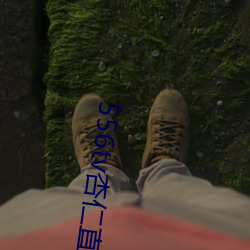 556tv杏仁直播