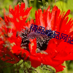 精品成品网站