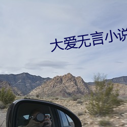 大爱无言小说