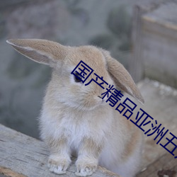 国产精品亚洲五月天(tiān)高清