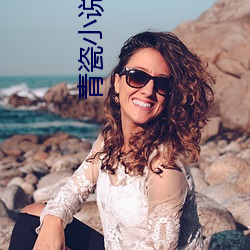 青瓷(cí)小说