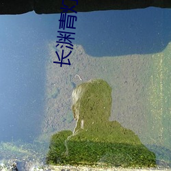 长渊青灯行
