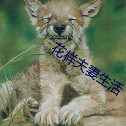 花(花)样夫妻(妻)生(生)活