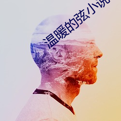 温暖的弦小说