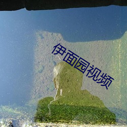 伊面园视频
