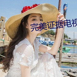 完美证(zh��ng)据电视剧在哪个app