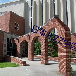 日本JLZZ中國
