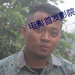 电影首发影院 （挖掘）