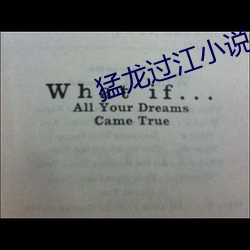 猛龙(龍)过江小(小)说