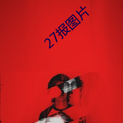 27报图片