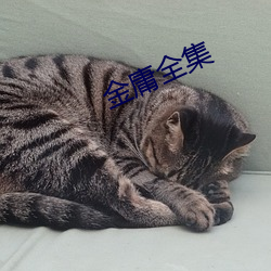 欧博abg - 官方网址登录入口
