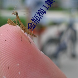 金瓶梅1集5
