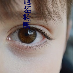 逼养(yǎng)的(de)屌操的