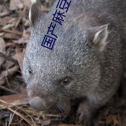 鸿运国际·(中国)会员登录入口
