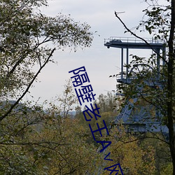隔壁老王(王)A∨网站