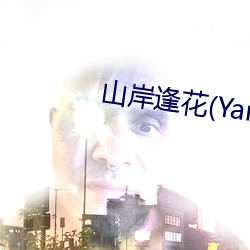 山岸逢花(Yamagishi