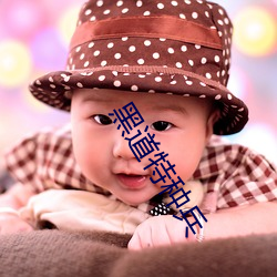 黑道特种兵 淫言狎语）