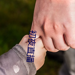 九游会登录j9入口 - 中国官方网站 | 真人游戏第一品牌