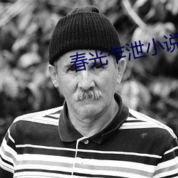 春光乍泄小說