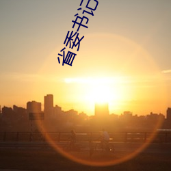 省委书记小说