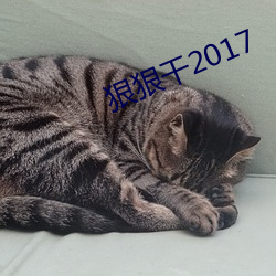 狠狠干2017