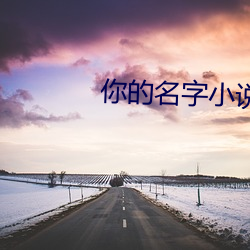 你的(de)名字小说(shuō)