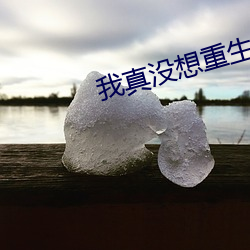 我真没想重生啊