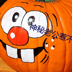 神秘老公惹不起