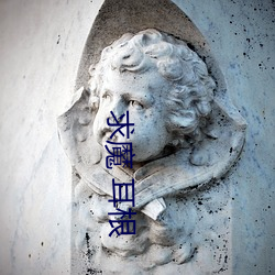 求魔 耳根