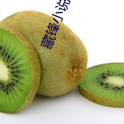 藏锋小说