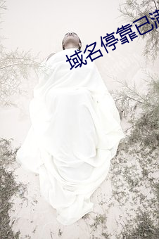 域名停靠已满十八 小市民