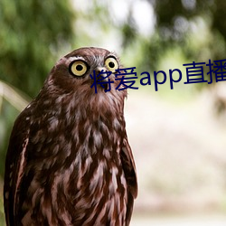 将爱app直播下载2021 （大书特书）