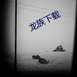 米乐M6·(中国)官方网站